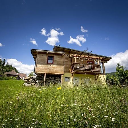 Gaestehaus Biobauernhof Mandl Murau Exterior foto