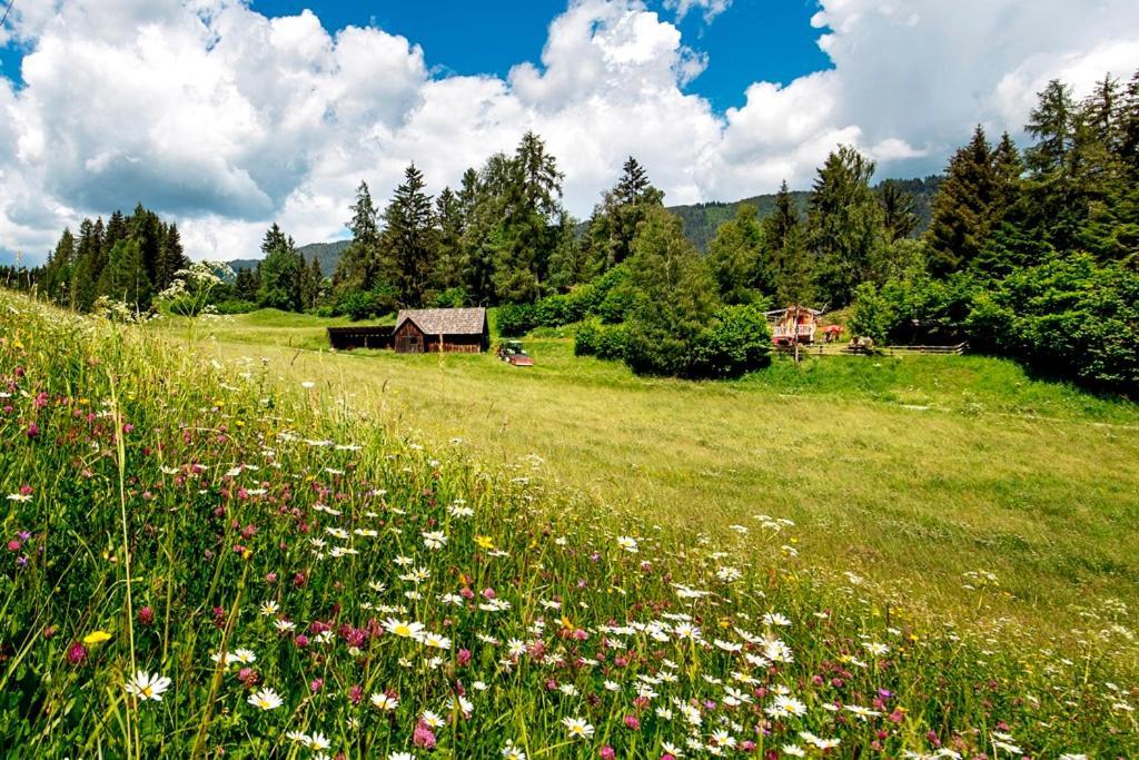 Gaestehaus Biobauernhof Mandl Murau Exterior foto